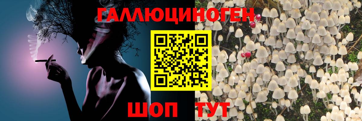 Снежинск  Псилоцибиновые грибы мухоморы  как найти   Вход с VPN 