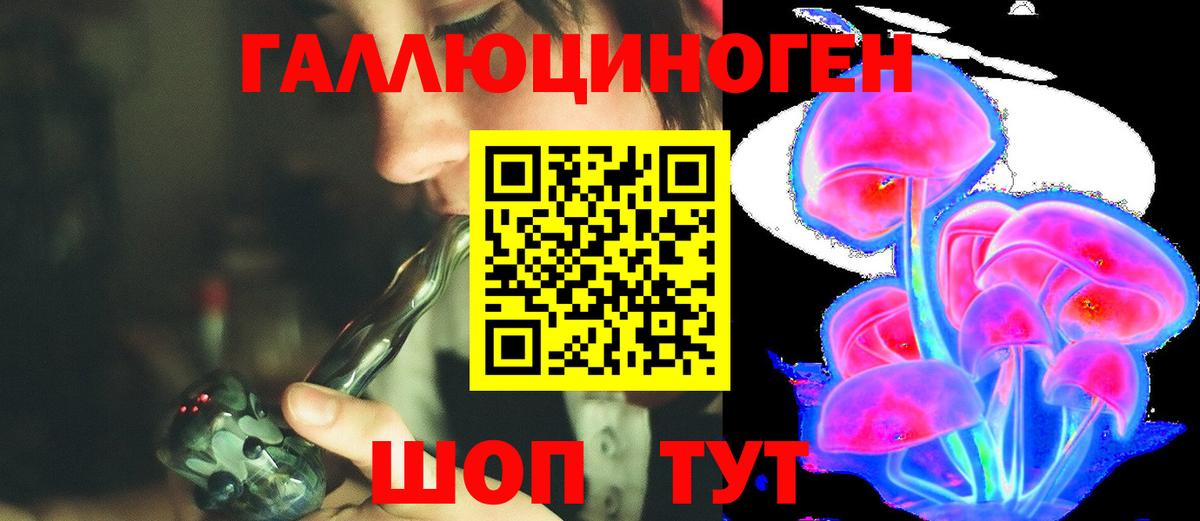 Галлюциногенные грибы Psilocybe Снежинск